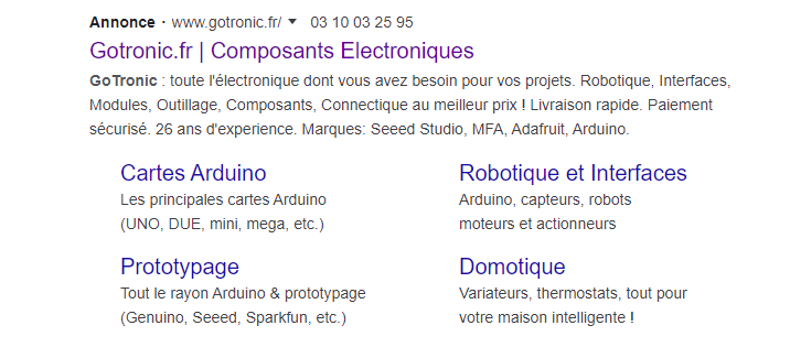 Annonce Google Ads Gotronic