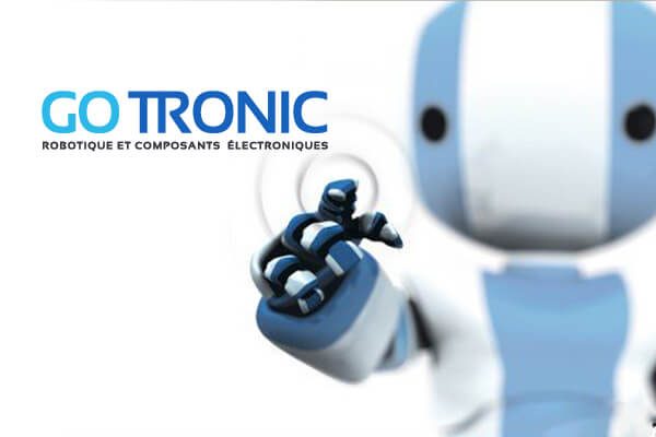 Robot Gotronic